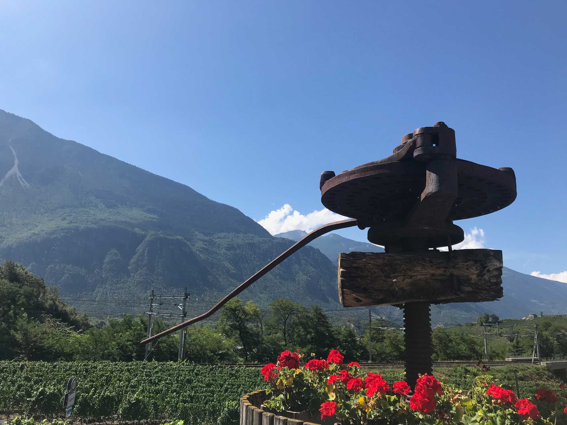 Weinweekend unter Reisefreunden